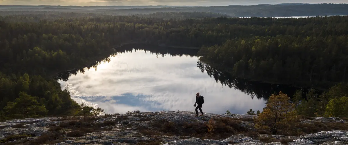 Dalsland from above, lake and forest
