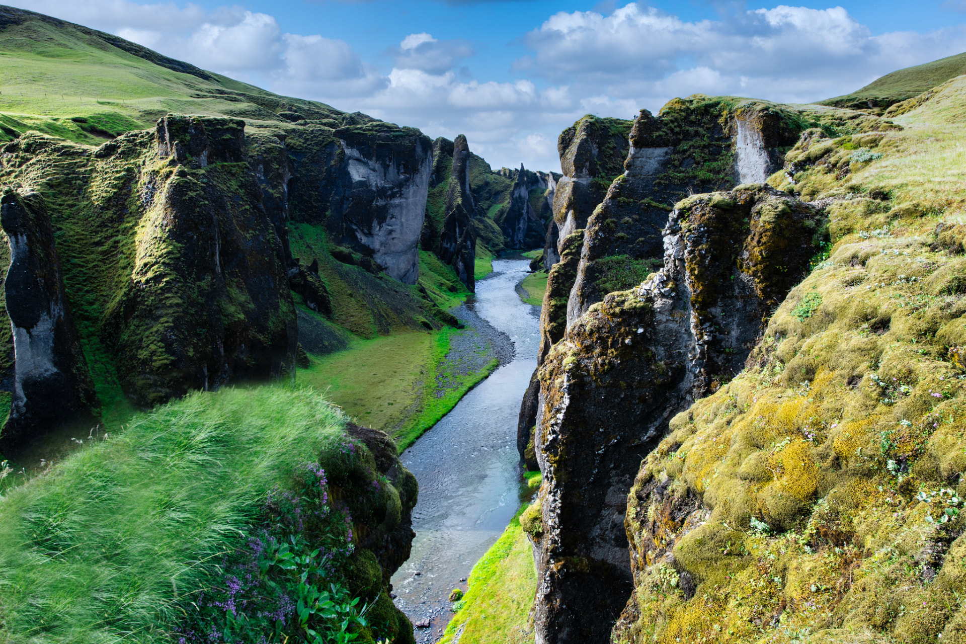 Fjaðrárgljúfur, moss and river