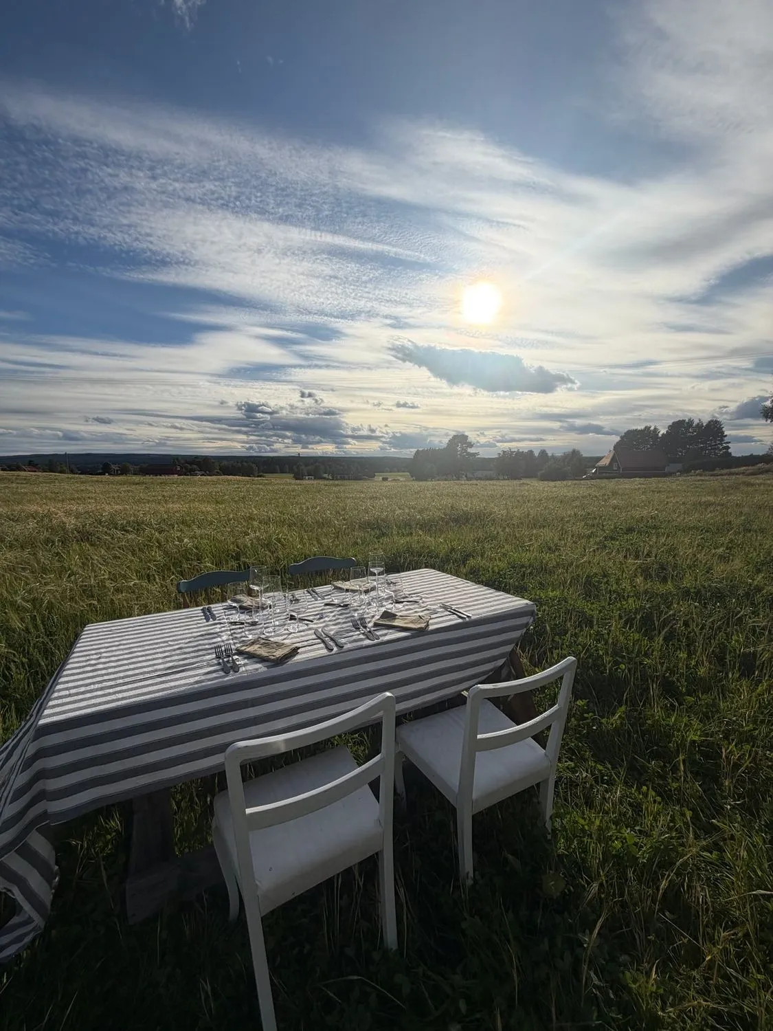 A dinner table laid in the middle of a field at golden hour