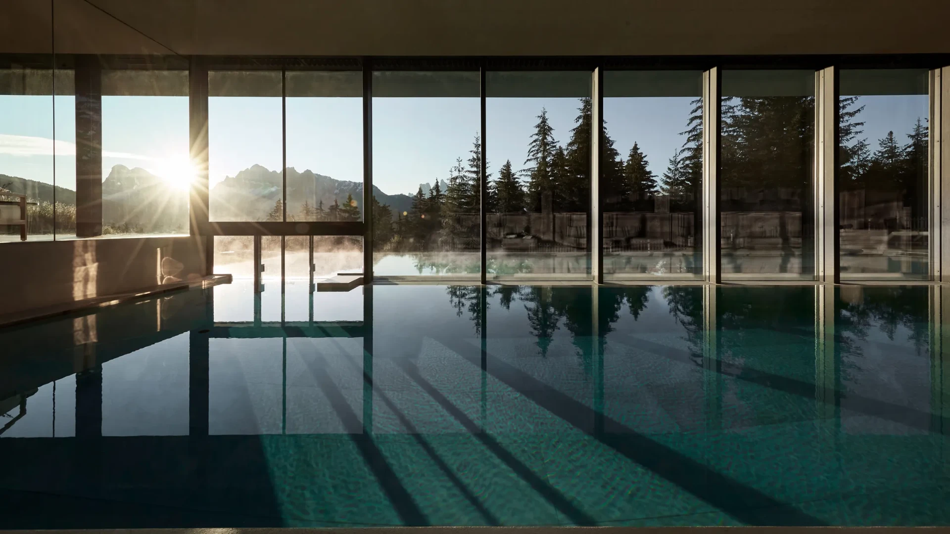 Spa pool, sunrise through the firs