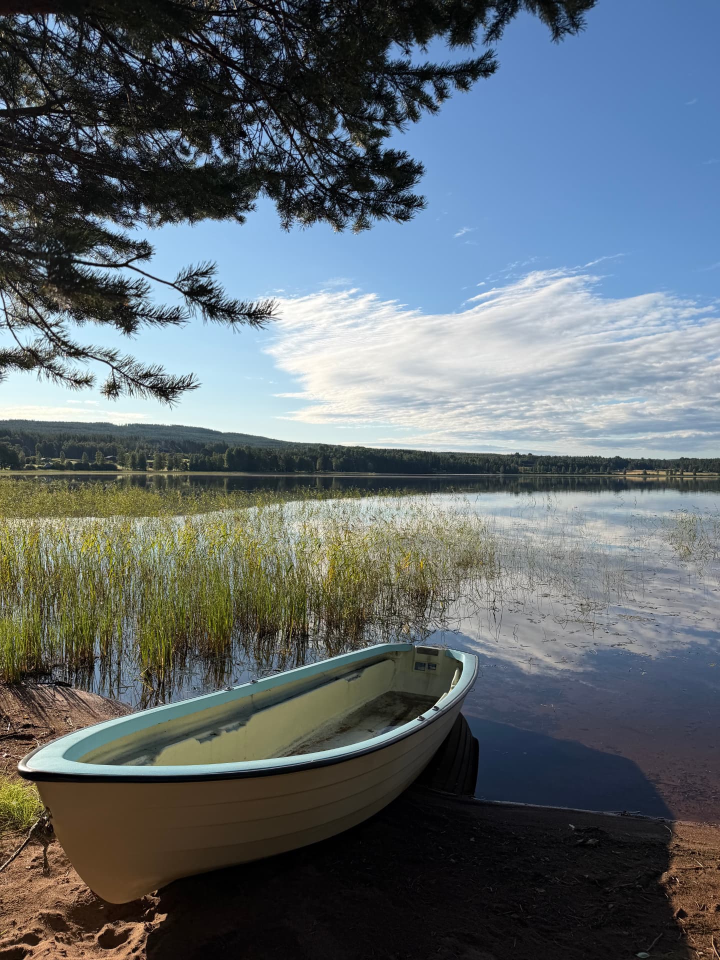 A rowing boat waiting on the reed-lined shore of Öresjön